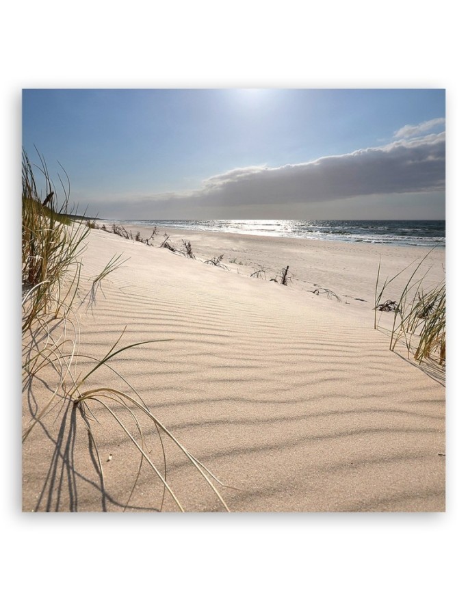 Canvas print - Dunes on the beach | FEEBY