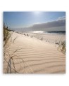 Canvas print - Dunes on the beach | FEEBY