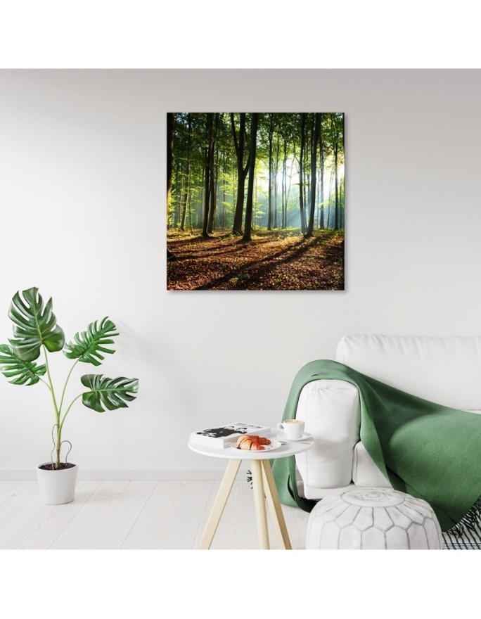 Canvas prints for living room - Morning in a green forest | FEEBY