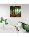 Canvas prints for living room - Morning in a green forest | FEEBY