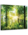 Sunshine Nature forest - Living room pictures on Canvas | FEEBY