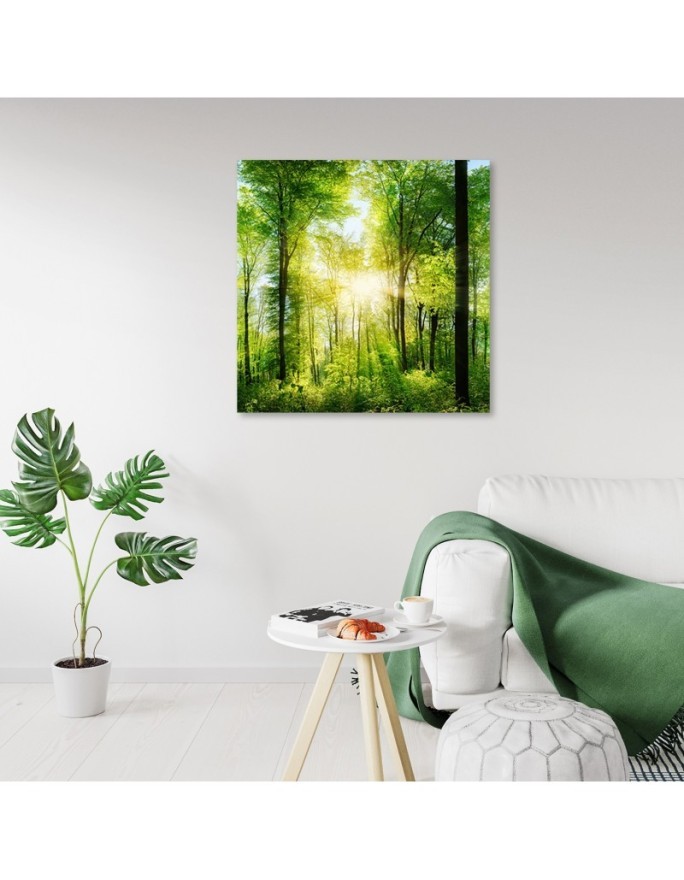 Sunshine Nature forest - Living room pictures on Canvas | FEEBY