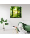 Sunshine Nature forest - Living room pictures on Canvas | FEEBY