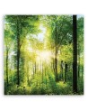 Sunshine Nature forest - Living room pictures on Canvas | FEEBY