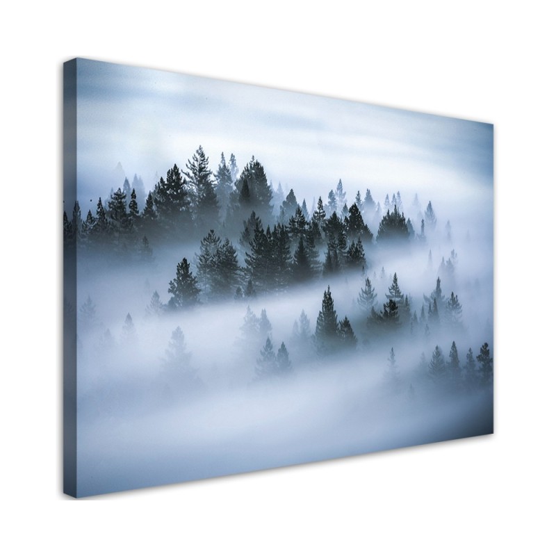 Forest in the fog - Canvas print modern | FEEBY