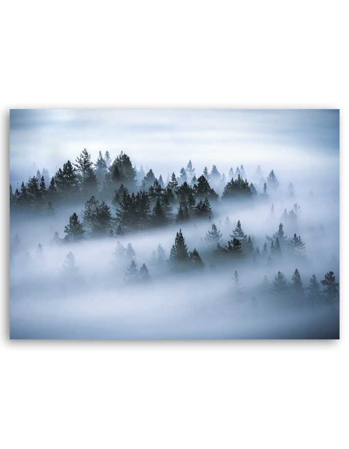 Forest in the fog - Canvas print modern | FEEBY