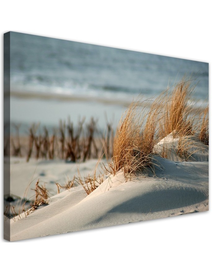 Dunes by the sea - Canvas print | FEEBY
