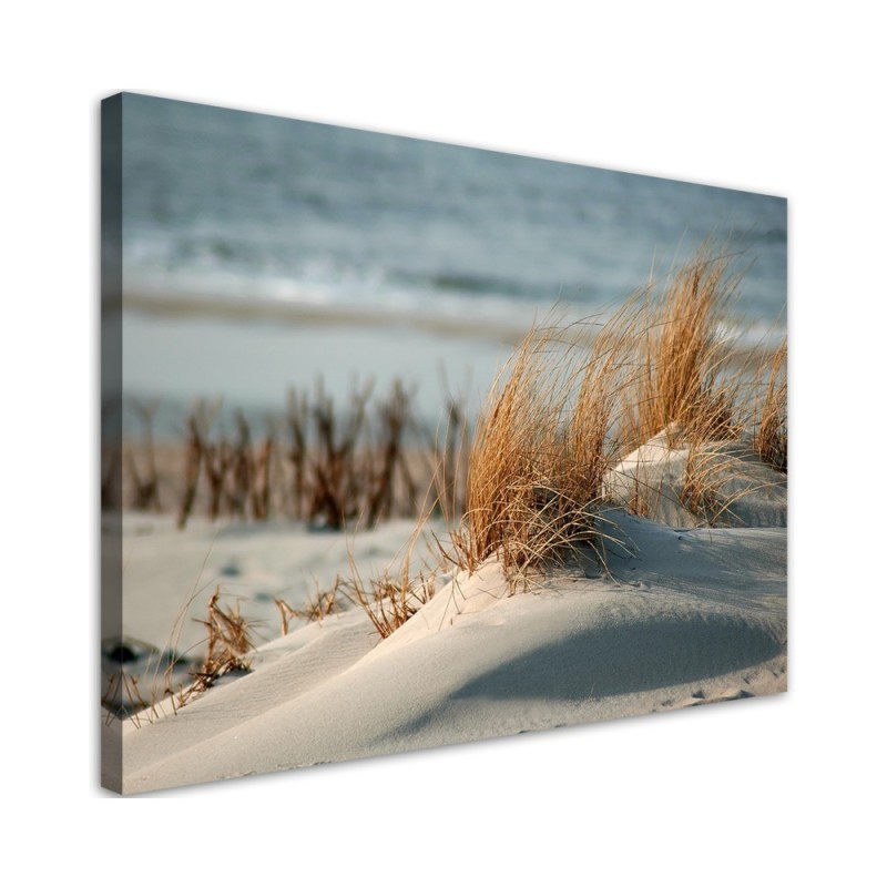 Dunes by the sea - Canvas print | FEEBY