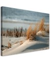 Dunes by the sea - Canvas print | FEEBY