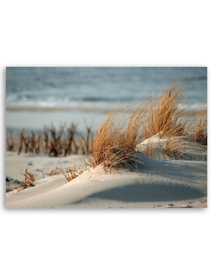 Dunes by the sea - Canvas print | FEEBY