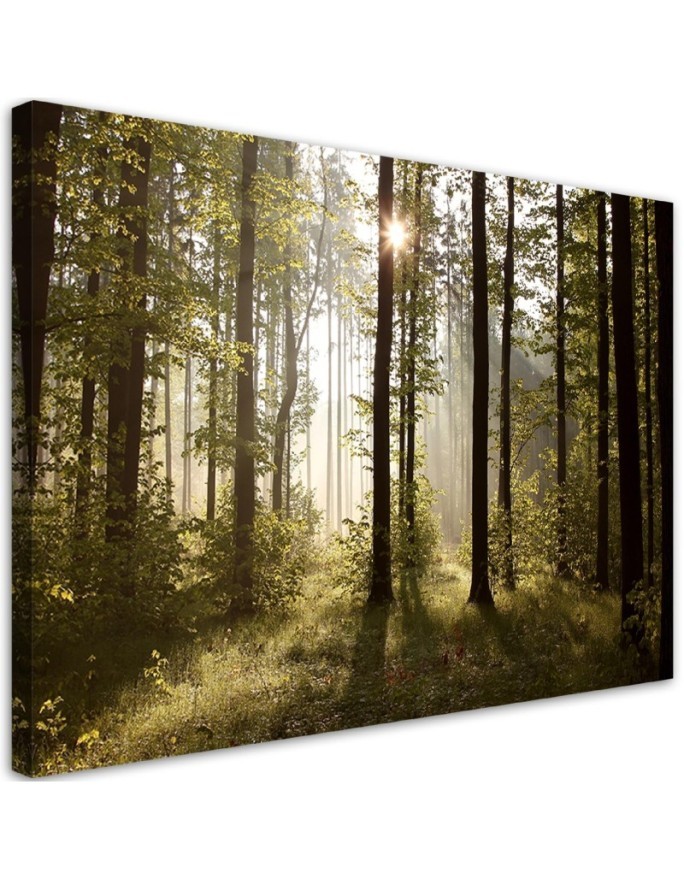 Canvas painting - Morning in the forest | FEEBY
