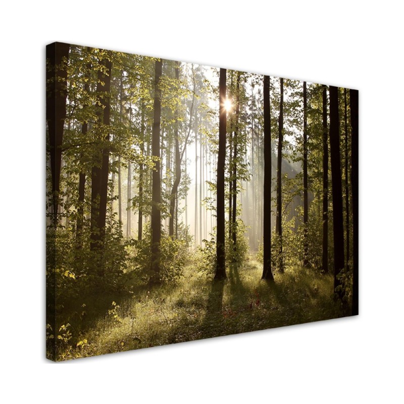 Canvas painting - Morning in the forest | FEEBY