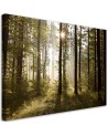 Canvas painting - Morning in the forest | FEEBY