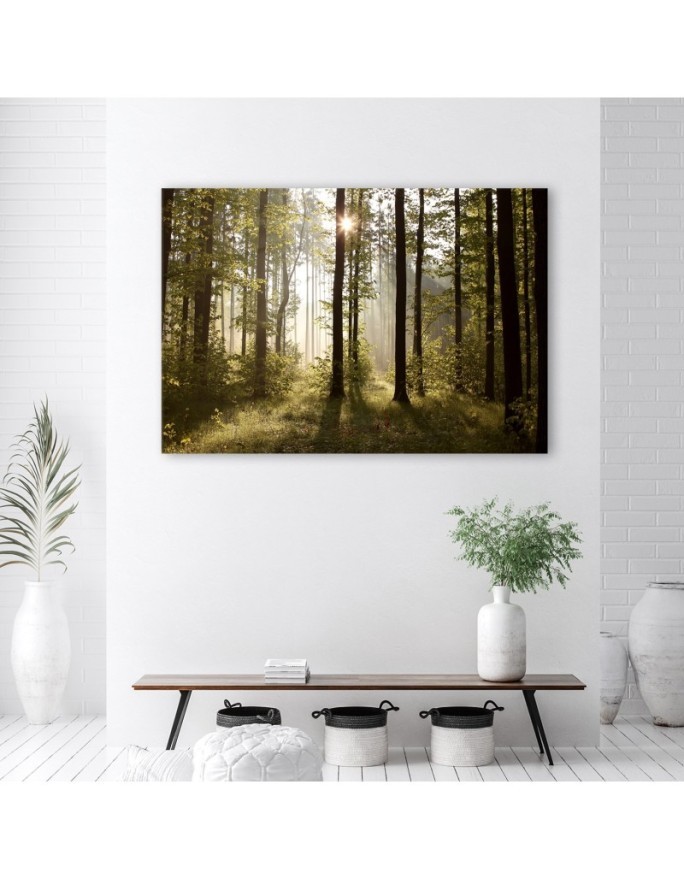 Canvas painting - Morning in the forest | FEEBY