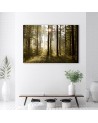 Canvas painting - Morning in the forest | FEEBY
