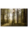 Canvas painting - Morning in the forest | FEEBY
