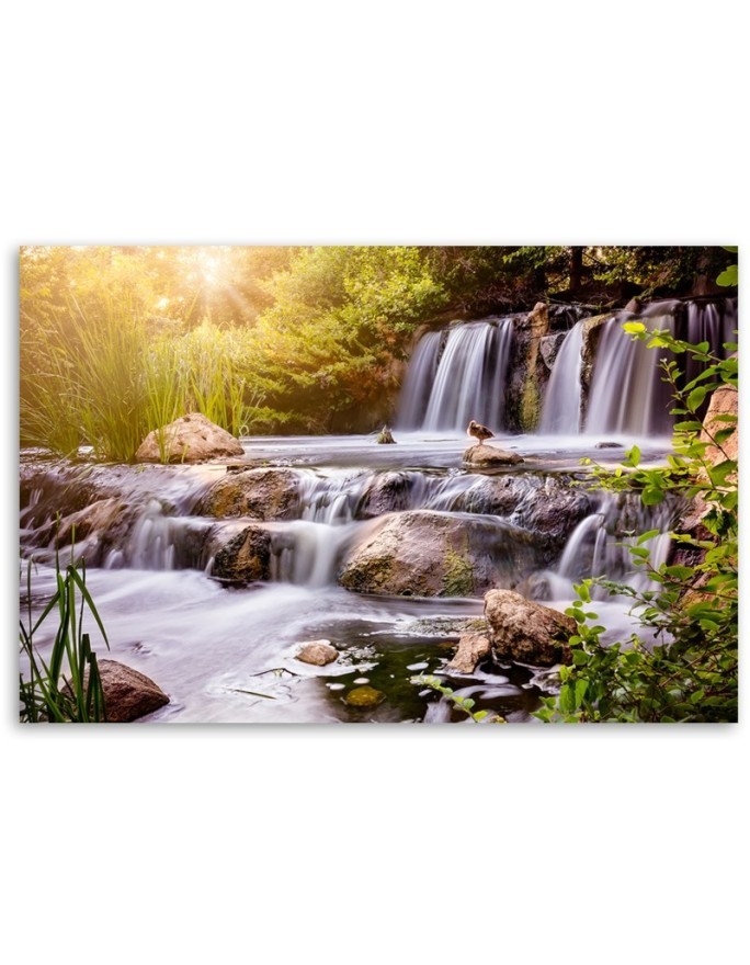 Canvas prints for living room - Waterfall at sunset nature | FEEBY