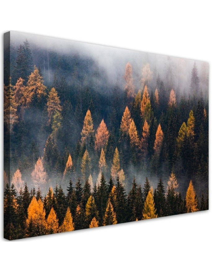 Canvas print - Autumn trees landscape | FEEBY