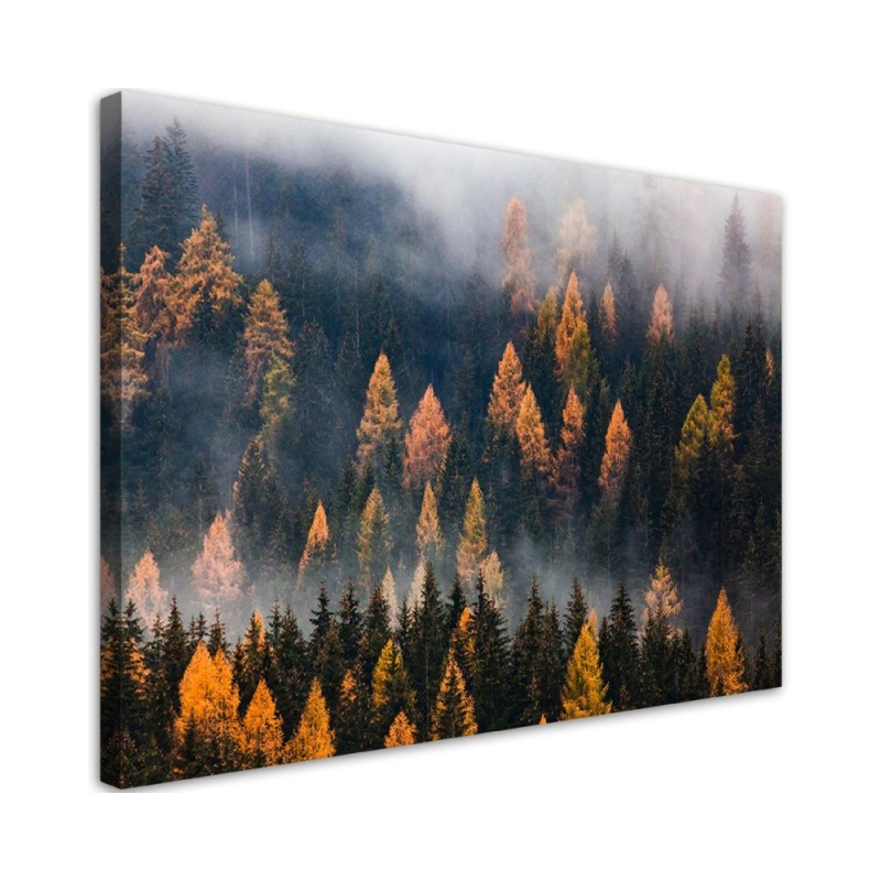 Canvas print - Autumn trees landscape | FEEBY