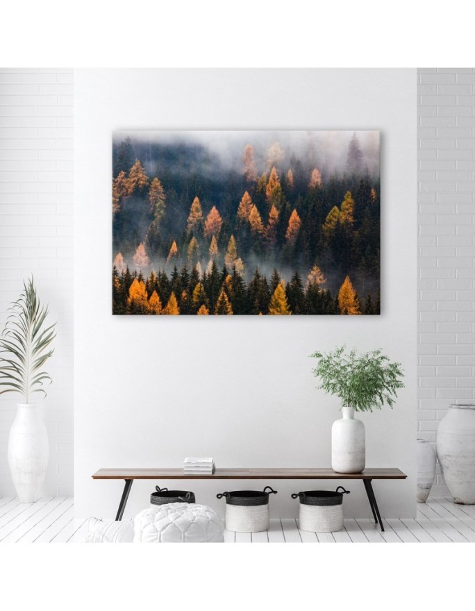 Canvas print - Autumn trees landscape | FEEBY