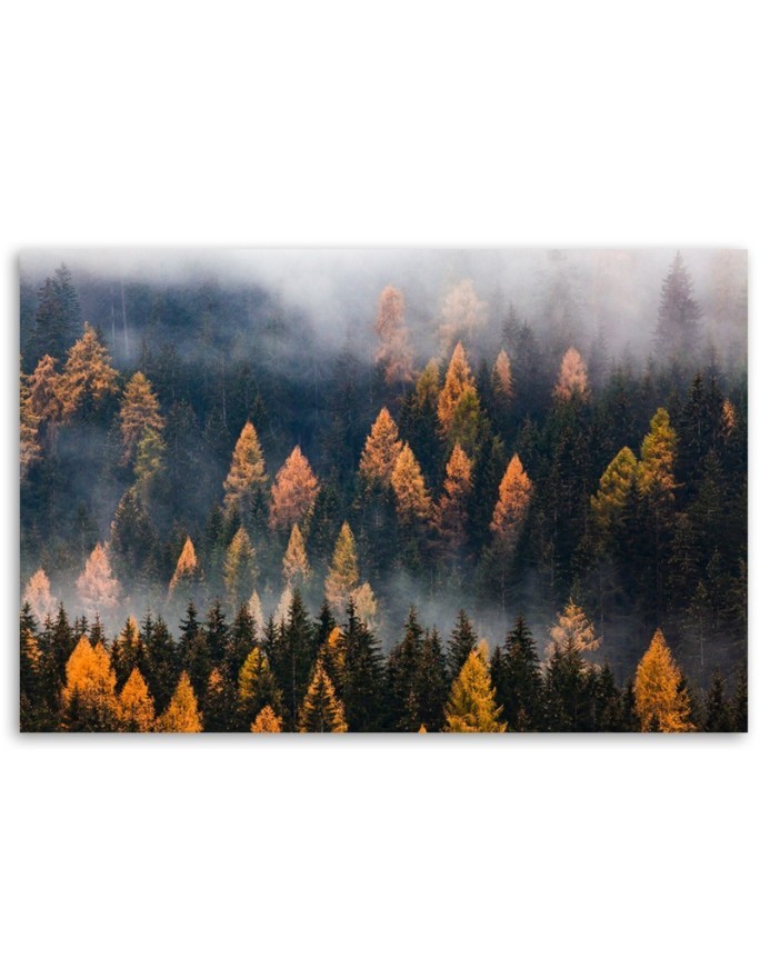 Canvas print - Autumn trees landscape | FEEBY