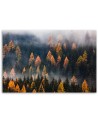 Canvas print - Autumn trees landscape | FEEBY