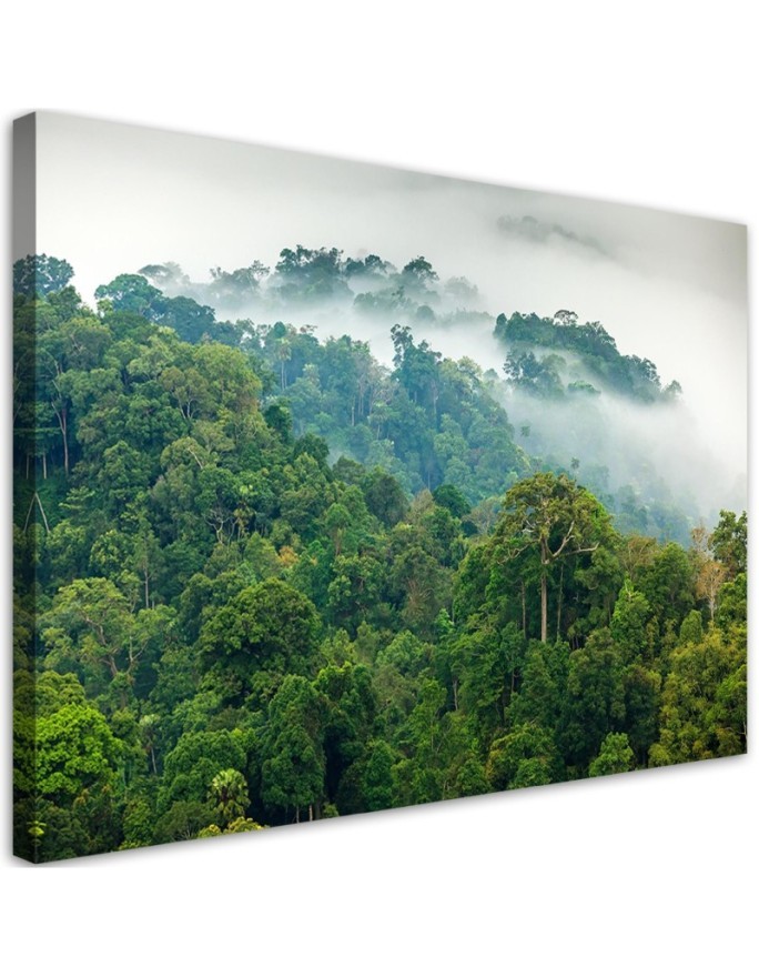 Canvas prints for the living room - Forest in the mist | FEEBY