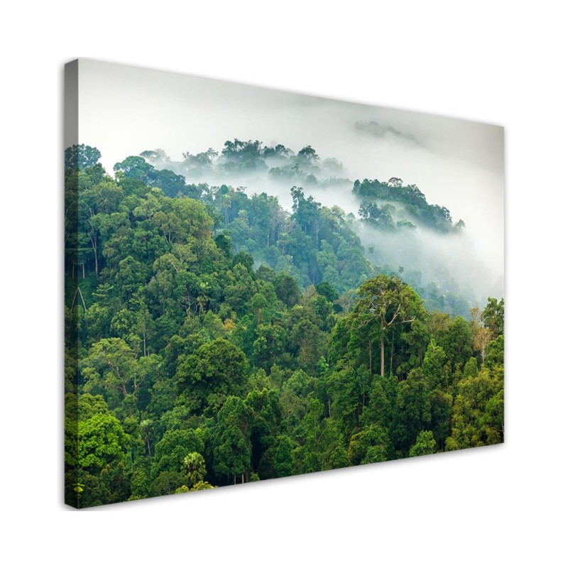 Canvas prints for the living room - Forest in the mist | FEEBY