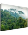 Canvas prints for the living room - Forest in the mist | FEEBY