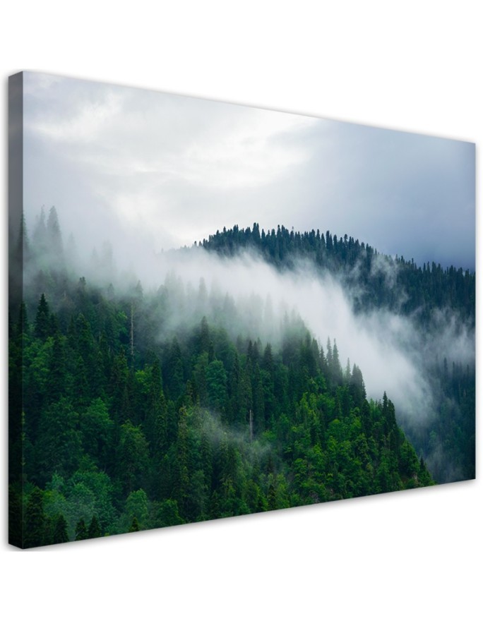 Canvas painting - Forest in the mist | FEEBY