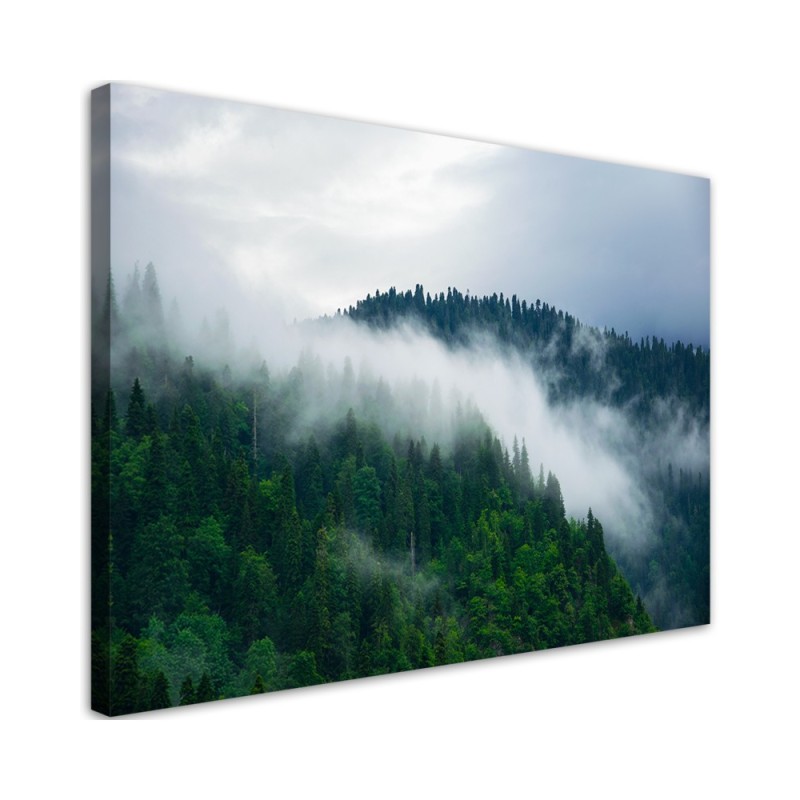 Canvas painting - Forest in the mist | FEEBY