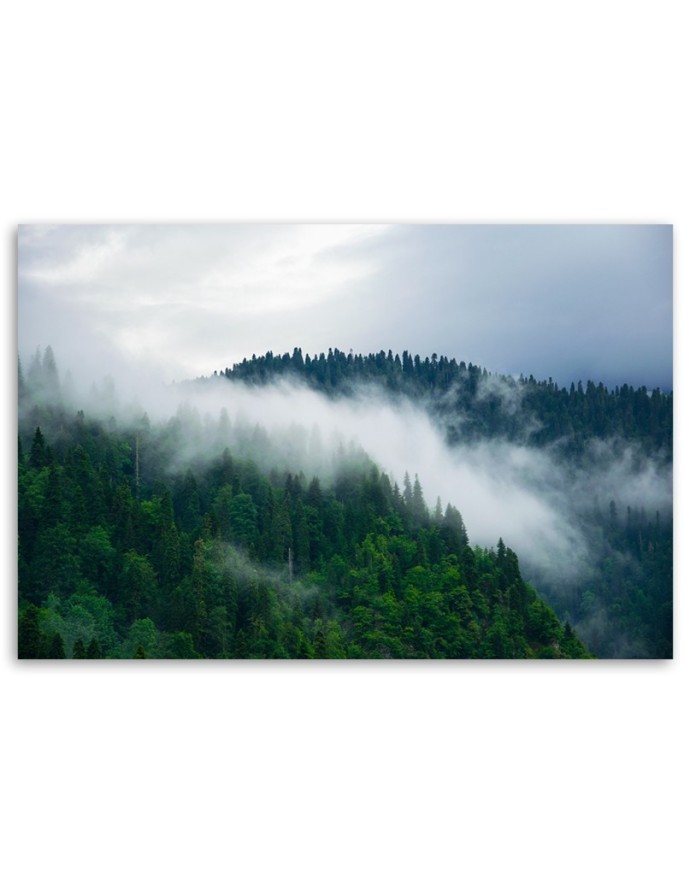 Canvas painting - Forest in the mist | FEEBY