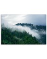 Canvas painting - Forest in the mist | FEEBY