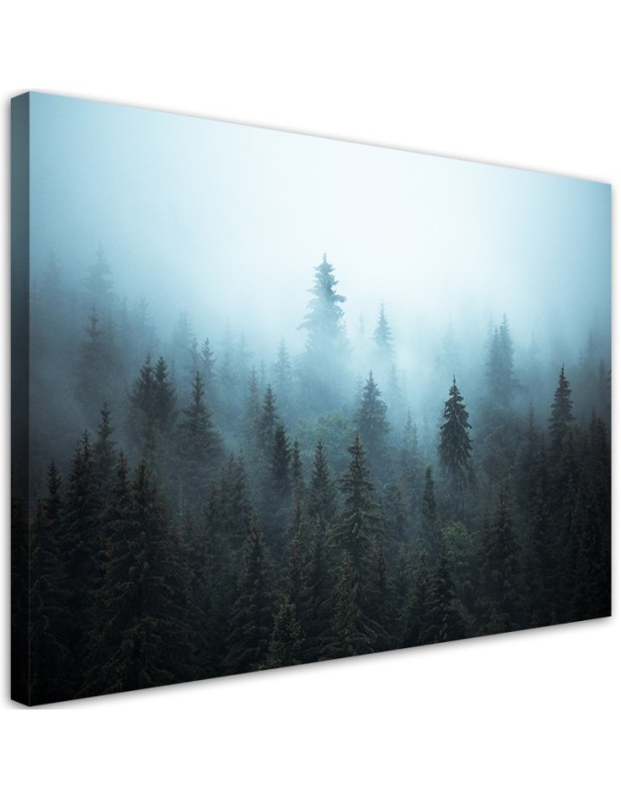 Canvas print Forest in the fog