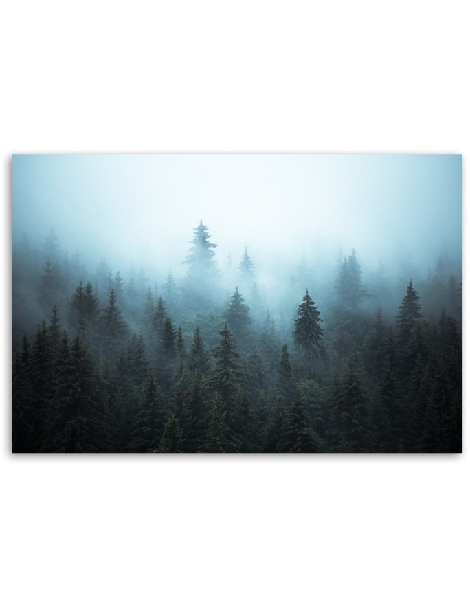 Modern Canvas painting for bedroom - Forest in the fog | FEEBY