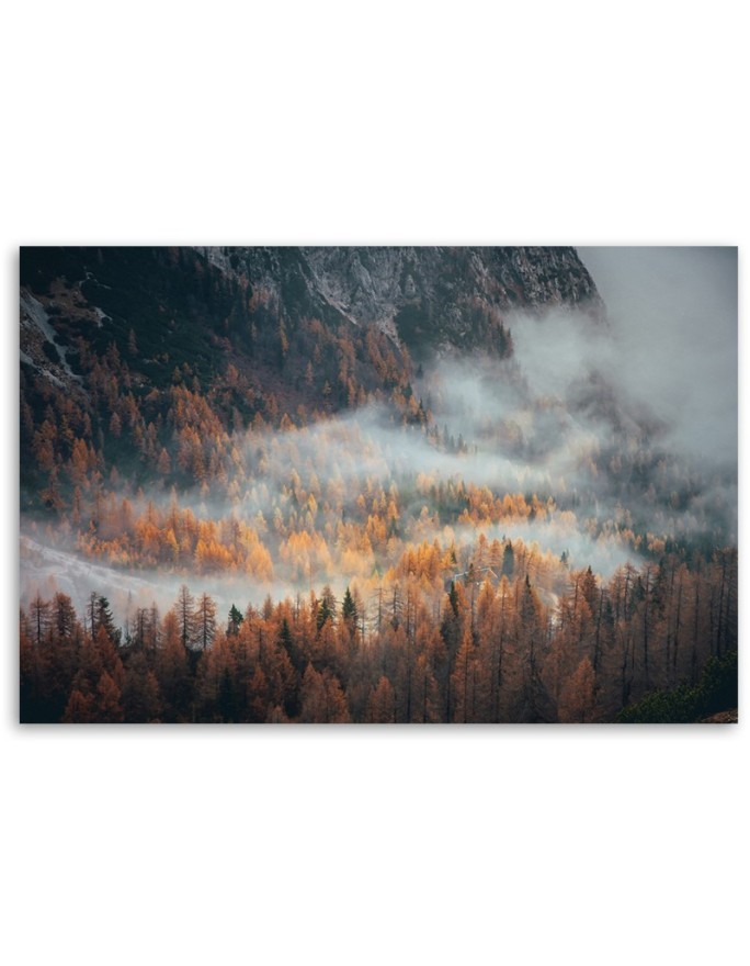Modern Canvas painting for bedroom - Forest in the fog | FEEBY