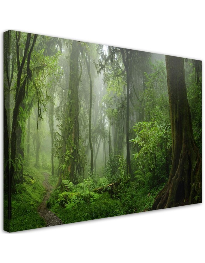 Canvas print modern - Tropical jungle forest | FEEBY