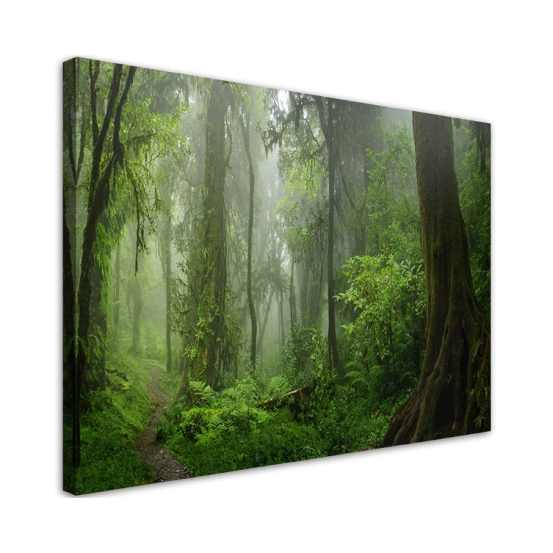 Canvas print modern - Tropical jungle forest | FEEBY