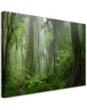 Canvas print modern - Tropical jungle forest | FEEBY