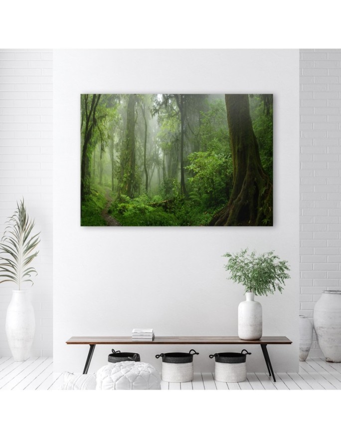 Canvas print modern - Tropical jungle forest | FEEBY