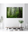 Canvas print modern - Tropical jungle forest | FEEBY