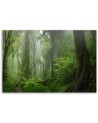 Canvas print modern - Tropical jungle forest | FEEBY