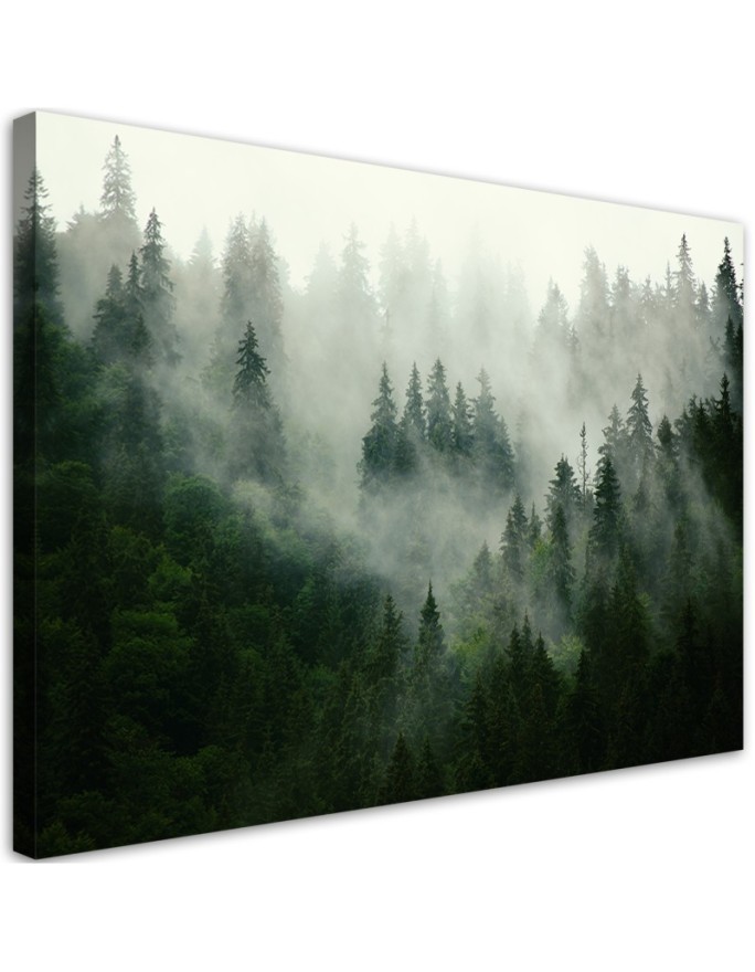 Canvas print Forest in the fog