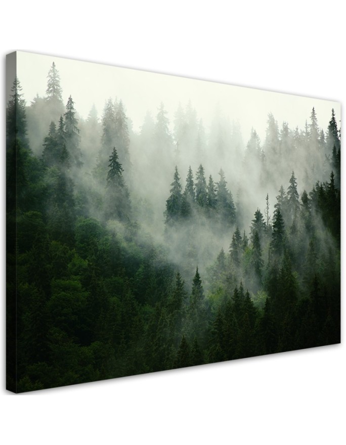 Canvas print - Forest in the mist | FEEBY