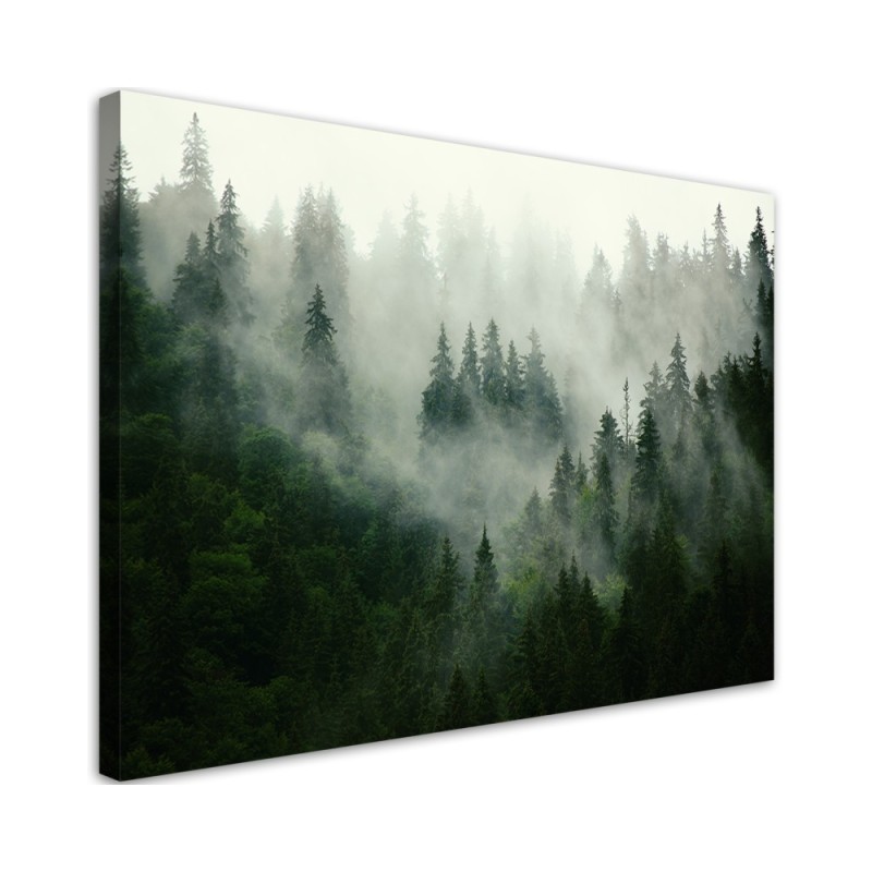 Canvas print - Forest in the mist | FEEBY