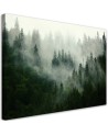 Canvas print - Forest in the mist | FEEBY