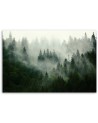 Canvas print - Forest in the mist | FEEBY