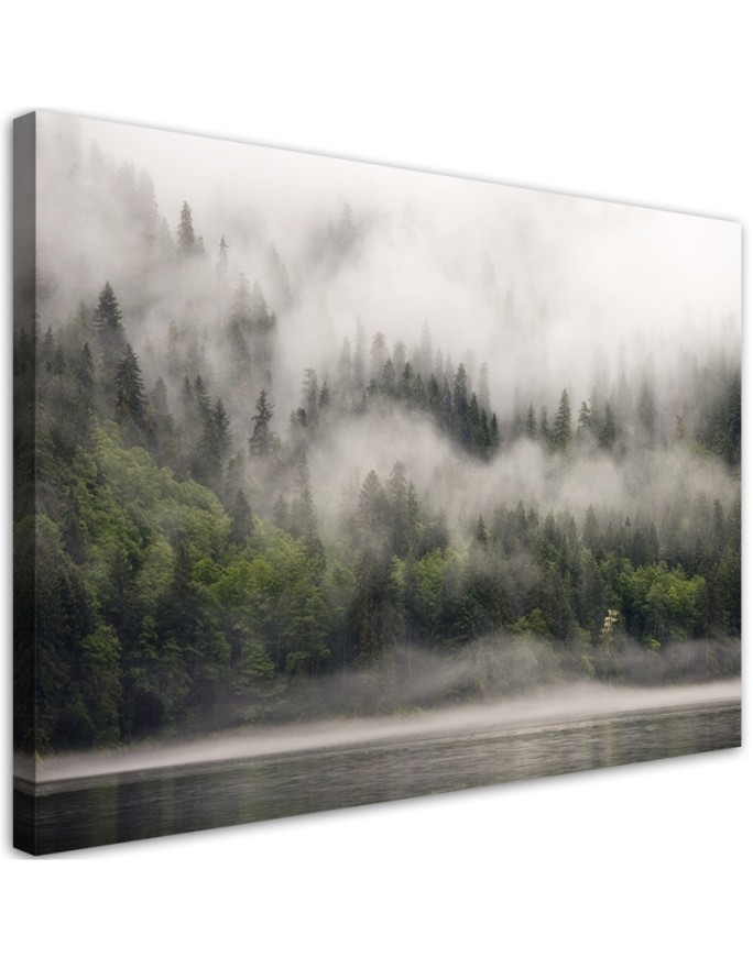 Canvas print Forest in the fog