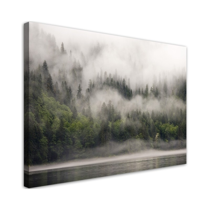 Canvas print - Forest in the fog | FEEBY