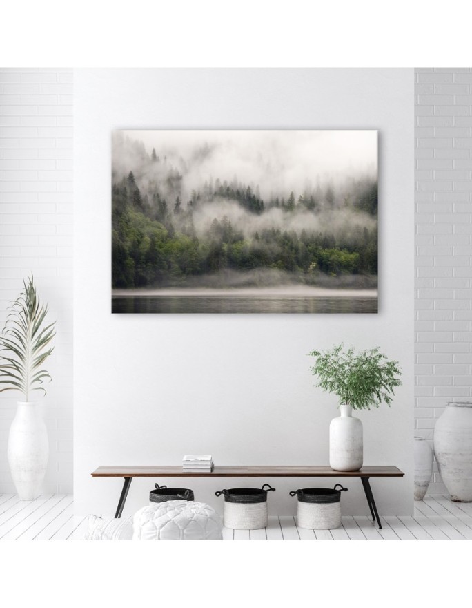Canvas print - Forest in the fog | FEEBY